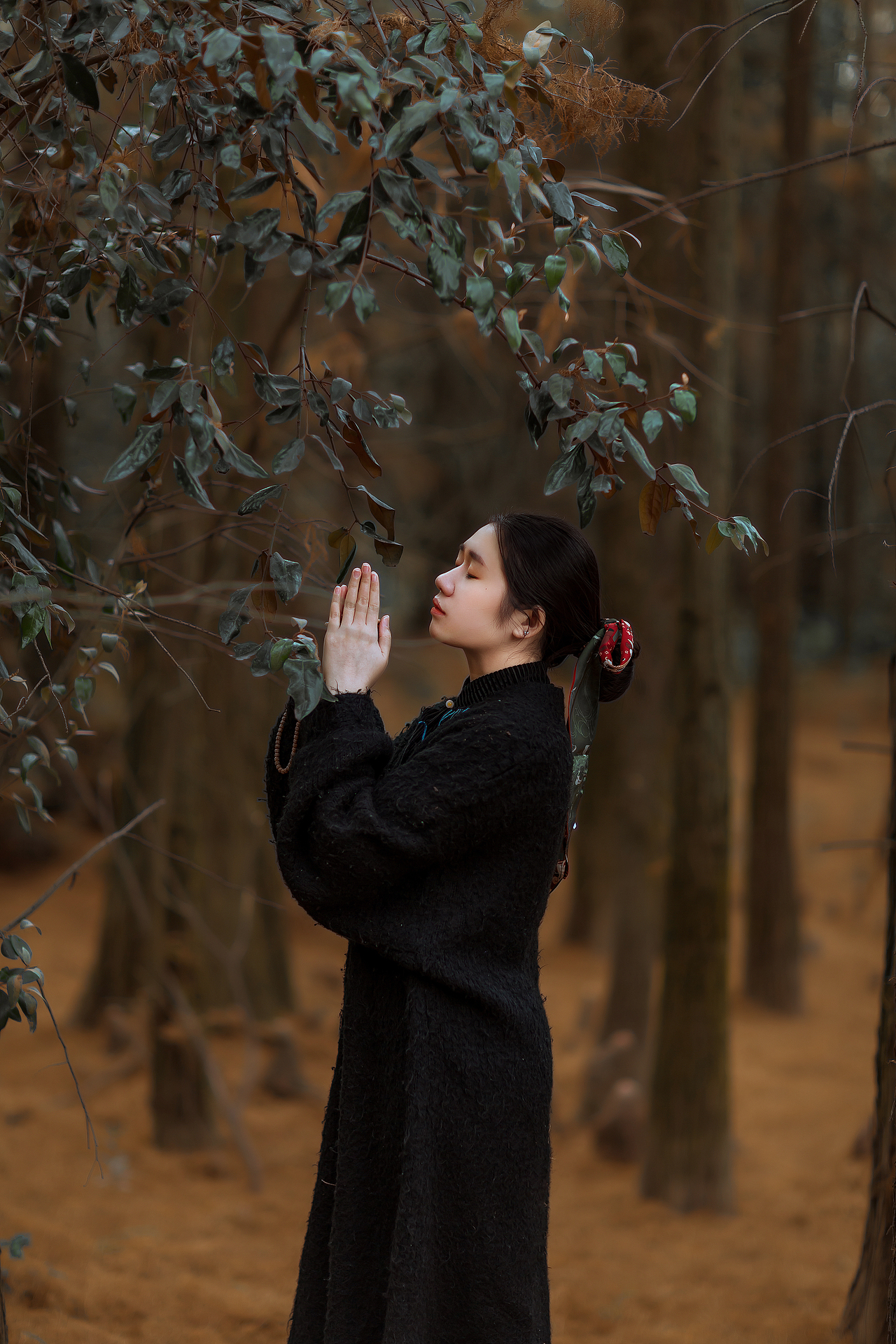 南昌白虎岭｜人像摄影｜红杉林（图ZMjgyOTc1ODYw） - 人像摄影 - 站酷设计师Baleer原创素材 - 站酷ZCOOL