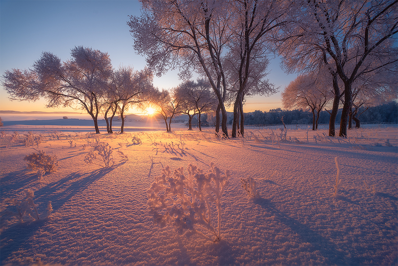 库库的牙膏的个人主页（封面预览） - 主页封面设置 - 站酷设计师库库的牙膏原创素材 - 站酷ZCOOL