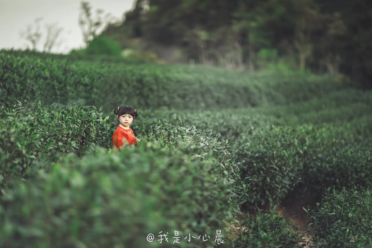 一只小心晨的個人主頁（背景預(yù)覽） - 主頁背景設(shè)置 - 站酷設(shè)計師一只小心晨原創(chuàng)素材 - 站酷ZCOOL