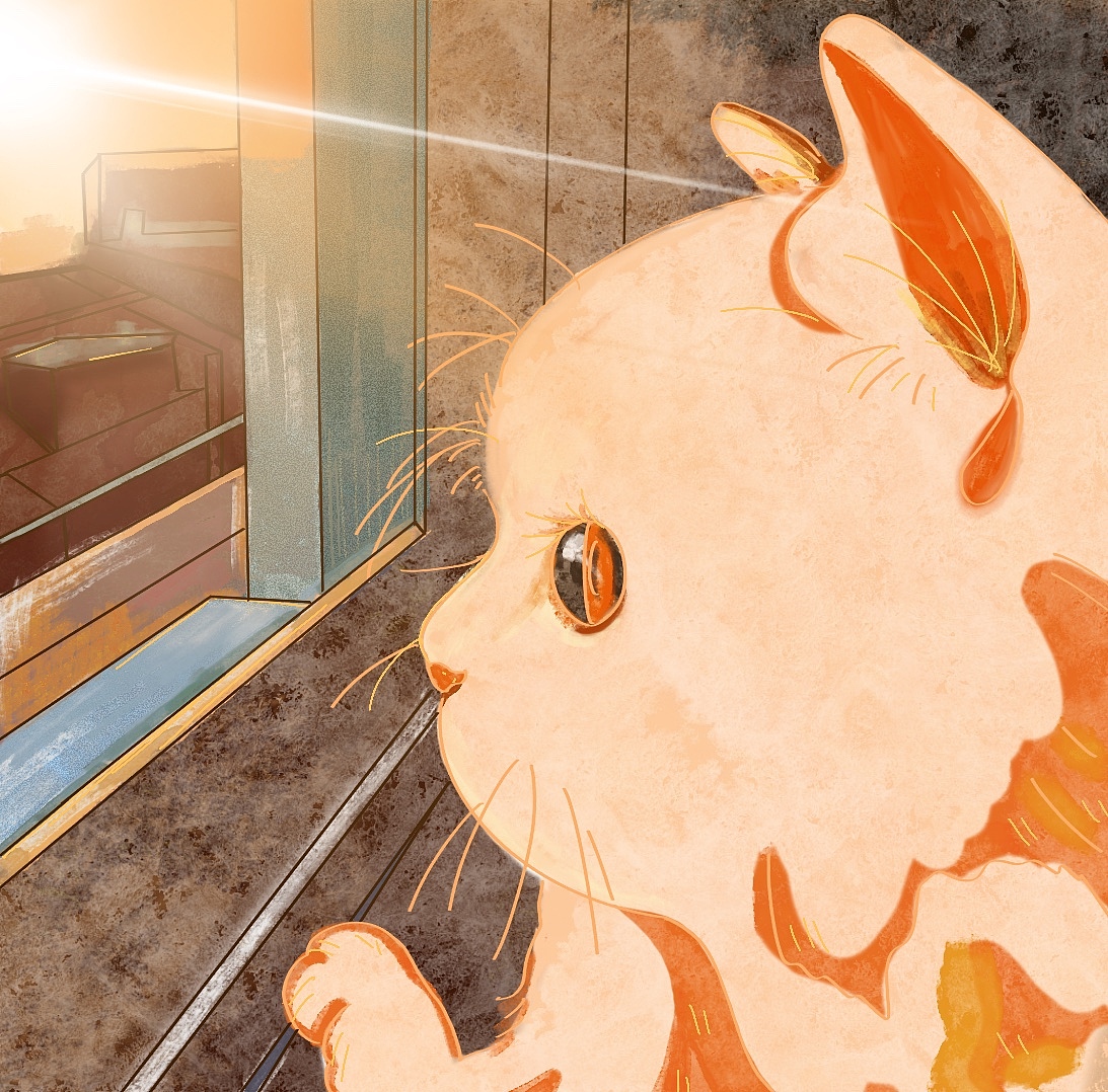 猫（图ZMjc3MTM1OTY0） - 书籍/画册 - 站酷设计师房呃妹i原创素材 - 站酷ZCOOL