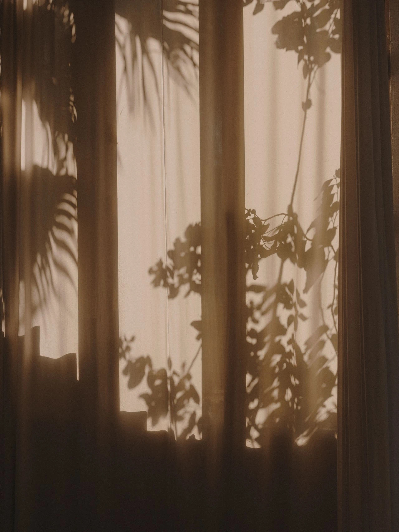 劉大帥L的個(gè)人主頁(yè)（封面預(yù)覽） - 主頁(yè)封面設(shè)置 - 站酷設(shè)計(jì)師劉大帥L原創(chuàng)素材 - 站酷ZCOOL