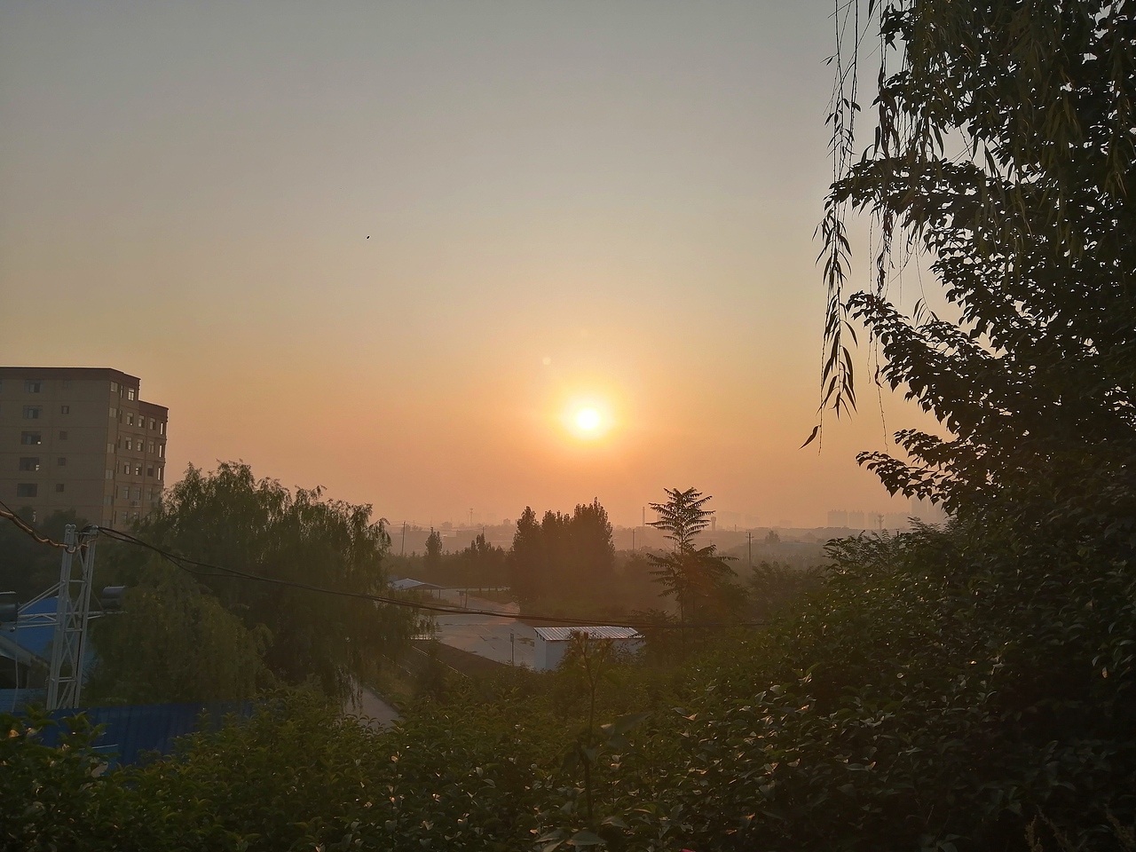 秋分的早晨2019