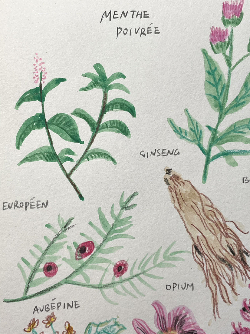 手绘食谱Vol.54 💐💐💐