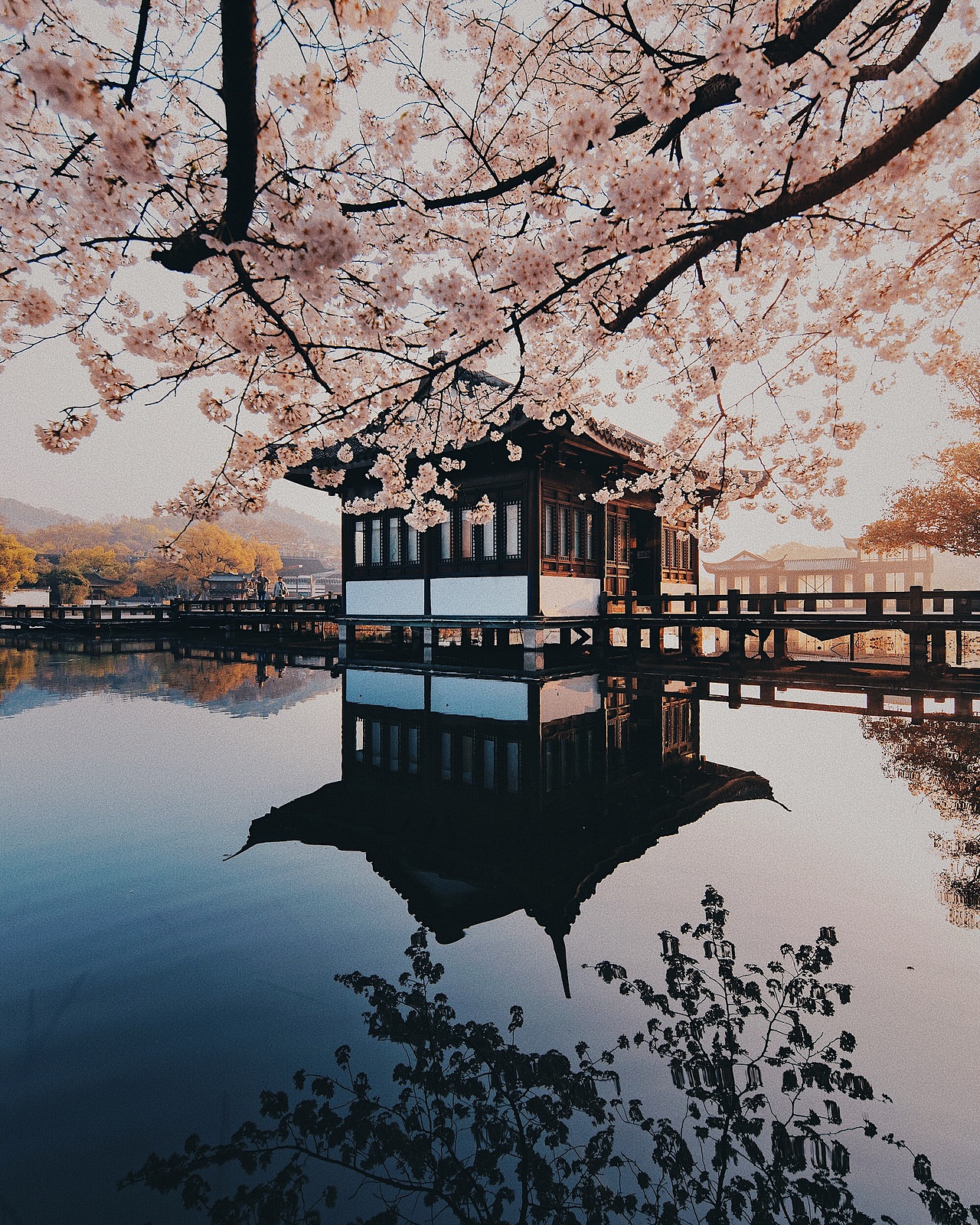 杭州的角角落落（图ZMjA5NzA3ODMy） - 环境/建筑摄影 - 站酷设计师鹿鹿鹿鹿鹿鹿跑焦原创素材 - 站酷ZCOOL