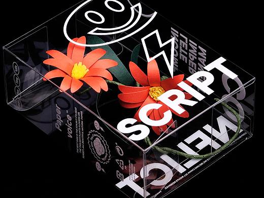 BranD50《我想开个工作室》/PAPER VOICE LAB意义之花 