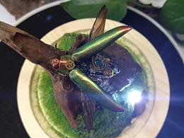蒸汽朋克机械甲虫标本