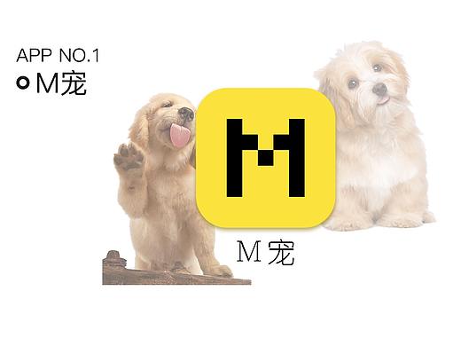 M宠-宠物APP