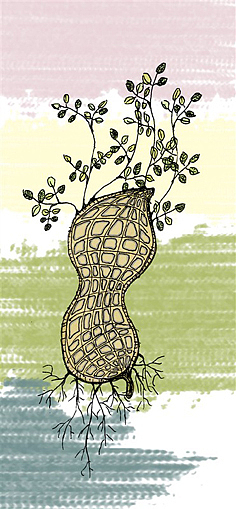 我在战胜懒惰时的胜利。。呀吼~~~