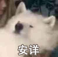 一个车队的logo设计（图ZMjI1NjUyMTA0） - Logo - 站酷设计师薛定谔的老牛原创素材 - 站酷ZCOOL