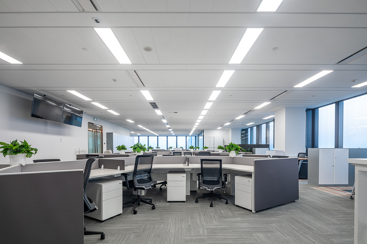 佳能（中国）完工照片