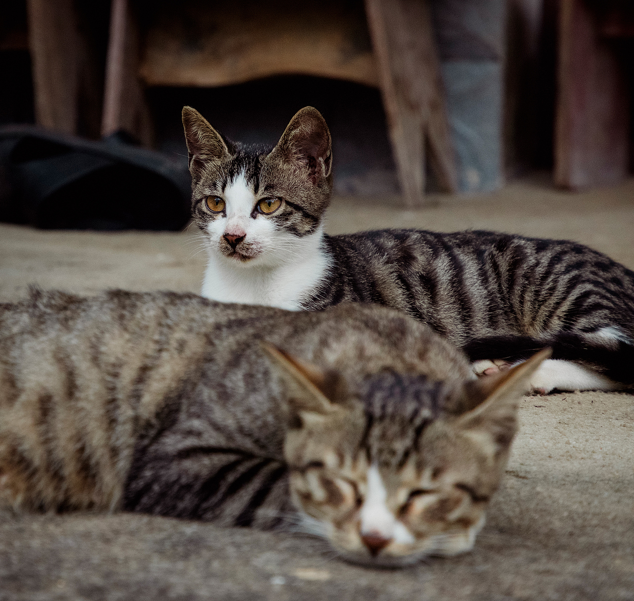 随处可见的农村场景（图ZMjI3MTIyNTMy） - 人文/纪实摄影 - 站酷设计师我有条狗叫汤圆原创素材 - 站酷ZCOOL