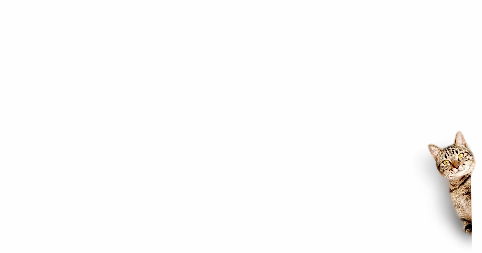 蘭朗古的個人主頁（背景預(yù)覽） - 主頁背景設(shè)置 - 站酷設(shè)計師蘭朗古原創(chuàng)素材 - 站酷ZCOOL