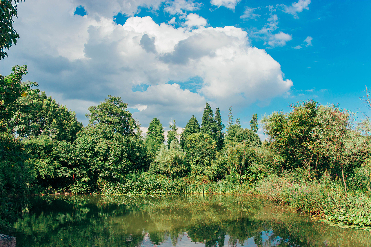 就喜欢夏天出来晒太阳-西溪湿地