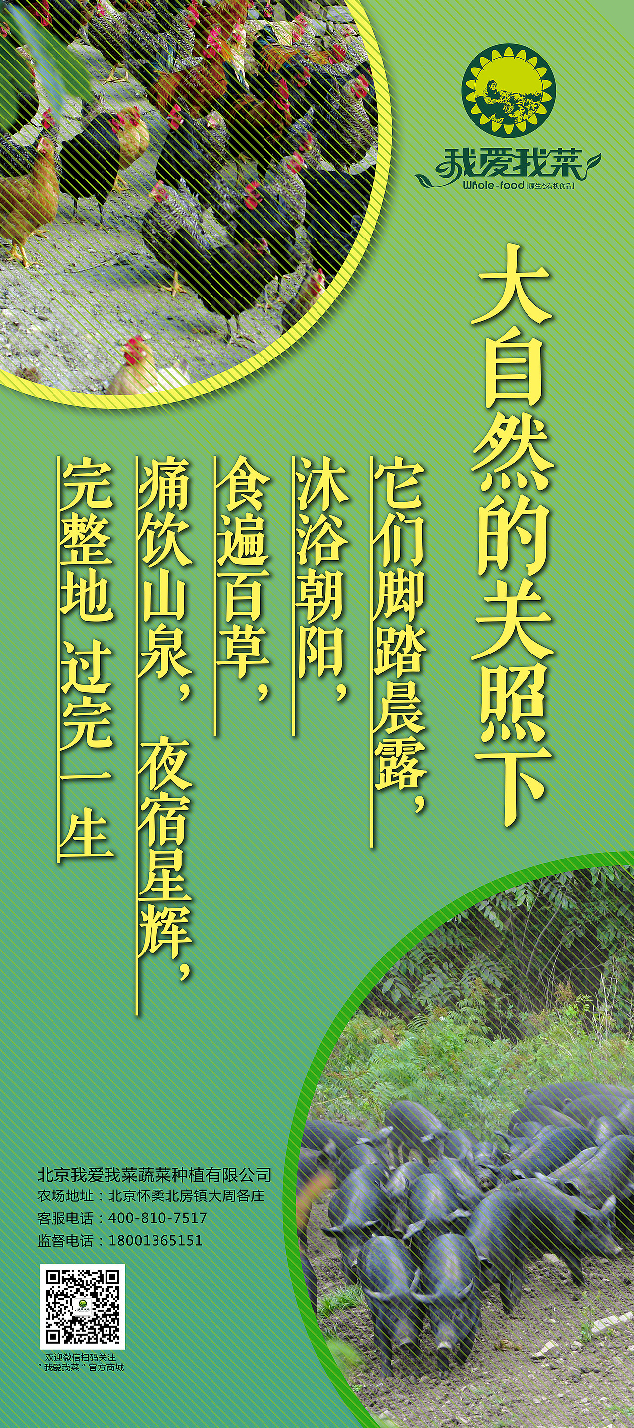 易拉宝广告-有机蔬菜有机家禽类（图ZNTI3OTA1NDg=） - 宣传物料 - 站酷设计师Suleo原创素材 - 站酷ZCOOL