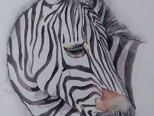水彩斑马