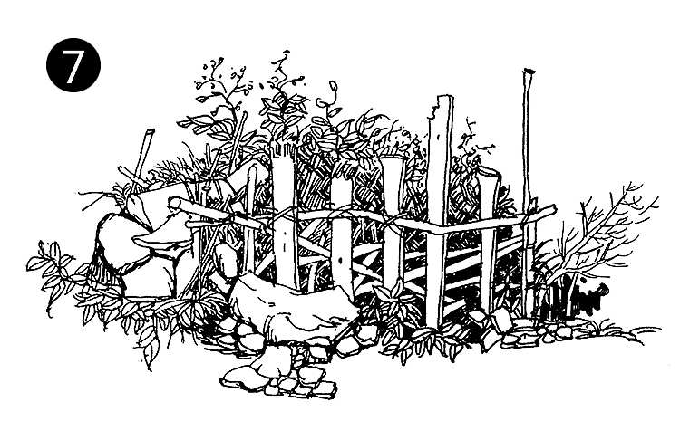 初学钢笔画！路边篱笆也能画出一幅画（原创）（图ZMTY5MDU5NTE2） - 绘画 - 站酷设计师陈红军原创素材 - 站酷ZCOOL