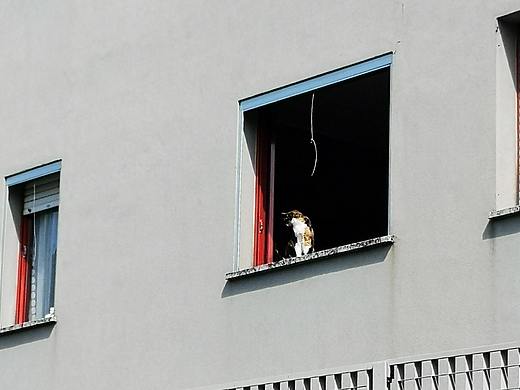 意大利隔离的日子