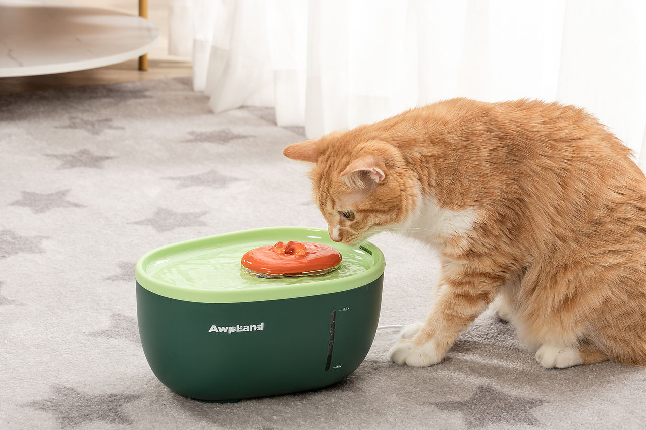 猫粮猫罐头宠物食品猫粮（图ZMjkxOTM4NTIw） - 产品摄影 - 站酷设计师芷君视觉原创素材 - 站酷ZCOOL