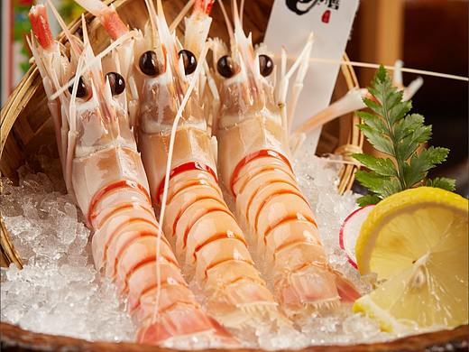 武汉日本料理摄影  美食摄影  美食拍照 武汉短视频