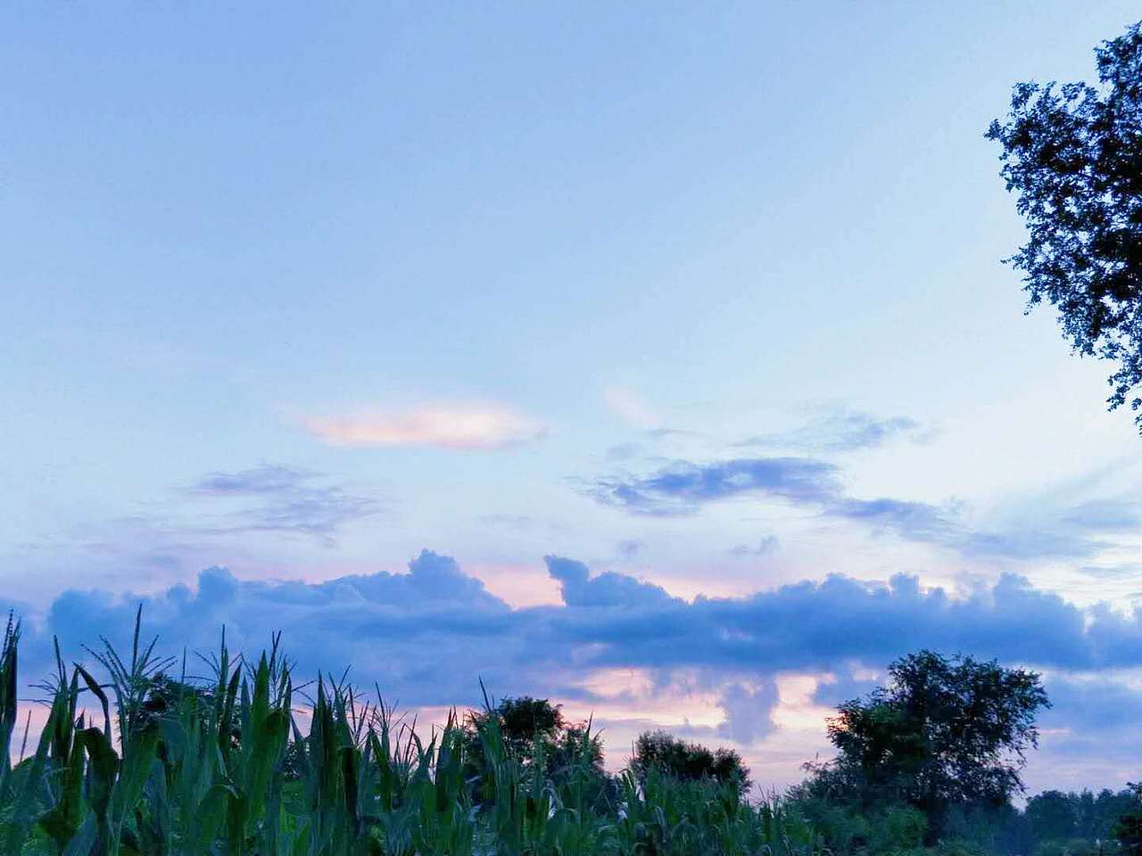 SYLG-关于我的美好生活