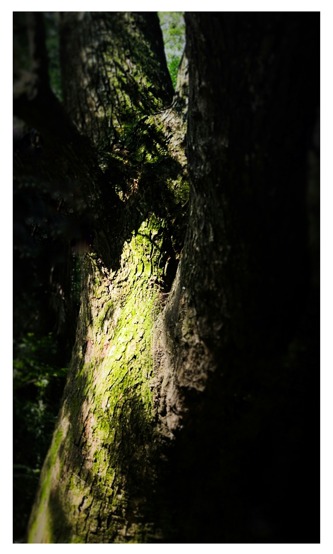 寻（图ZMTYyNTgwOTg4） - 风光摄影 - 站酷设计师关键词909原创素材 - 站酷ZCOOL