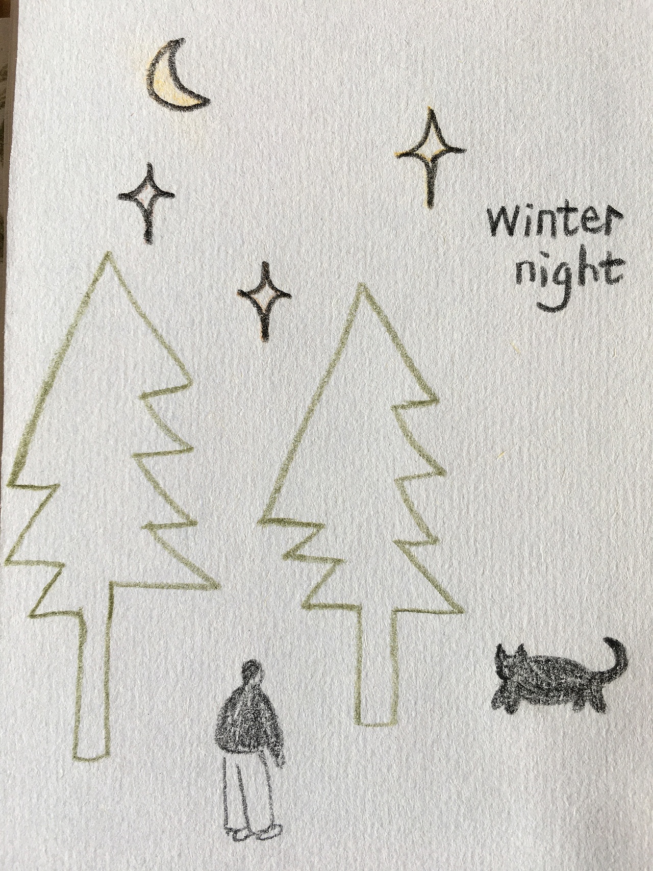 零基础瞎画画｜6月临摹记录