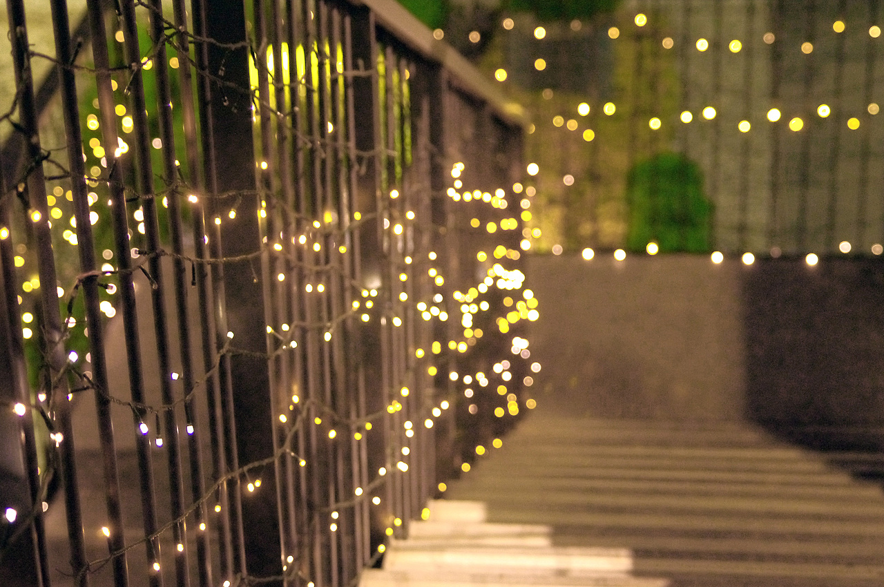 透着如你眼神般迷离的光
  想念你的笑/