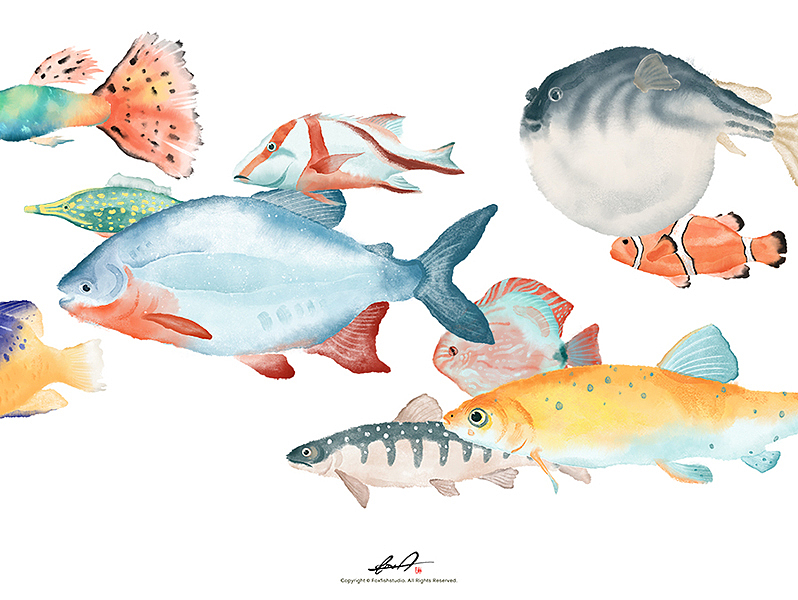 《真·摸鱼》（图ZMTY0OTg1NTQ4） - 创作习作 - 站酷设计师瓜里瓜里瓜里原创素材 - 站酷ZCOOL