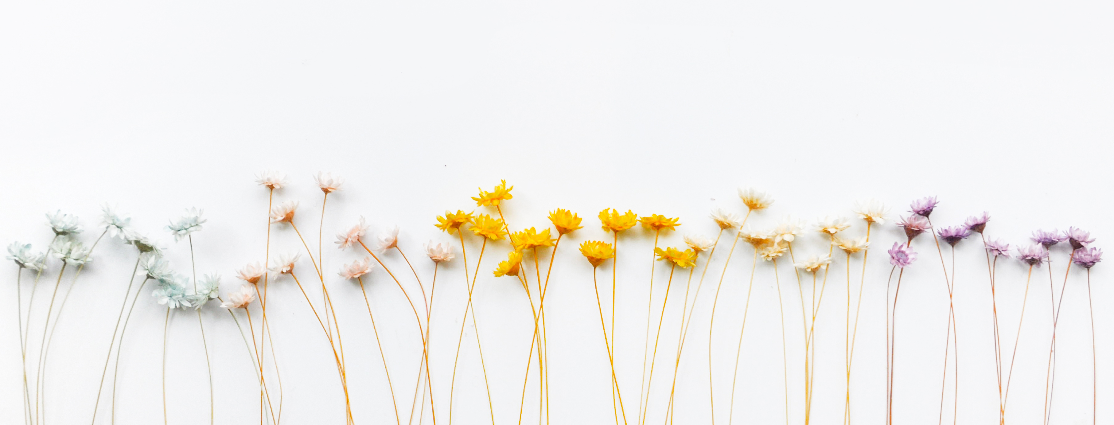 JongHyunCRAZY的個(gè)人主頁（封面預(yù)覽） - 主頁封面設(shè)置 - 站酷設(shè)計(jì)師JongHyunCRAZY原創(chuàng)素材 - 站酷ZCOOL