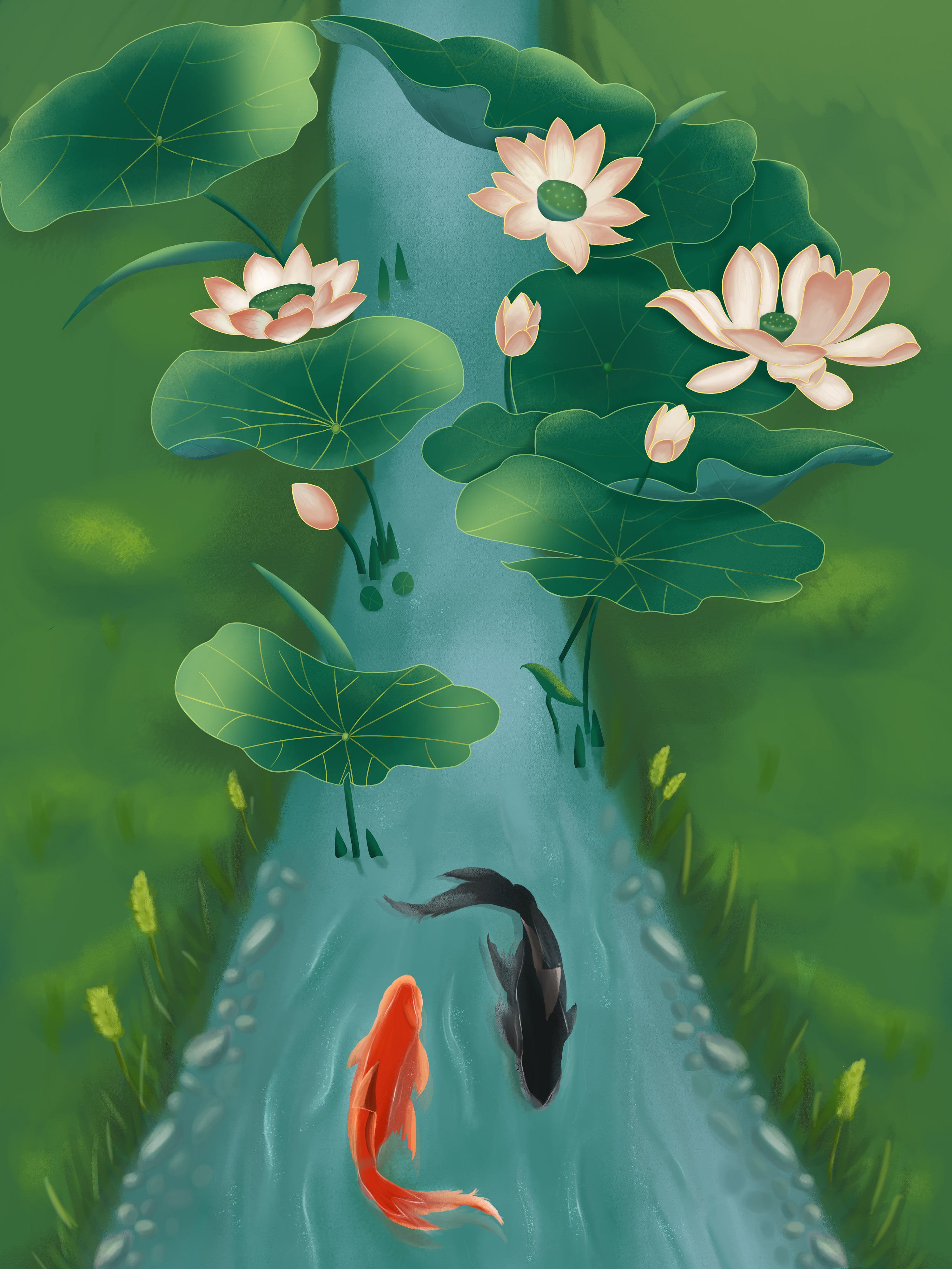 夏至手绘插画鲤鱼 荷花
