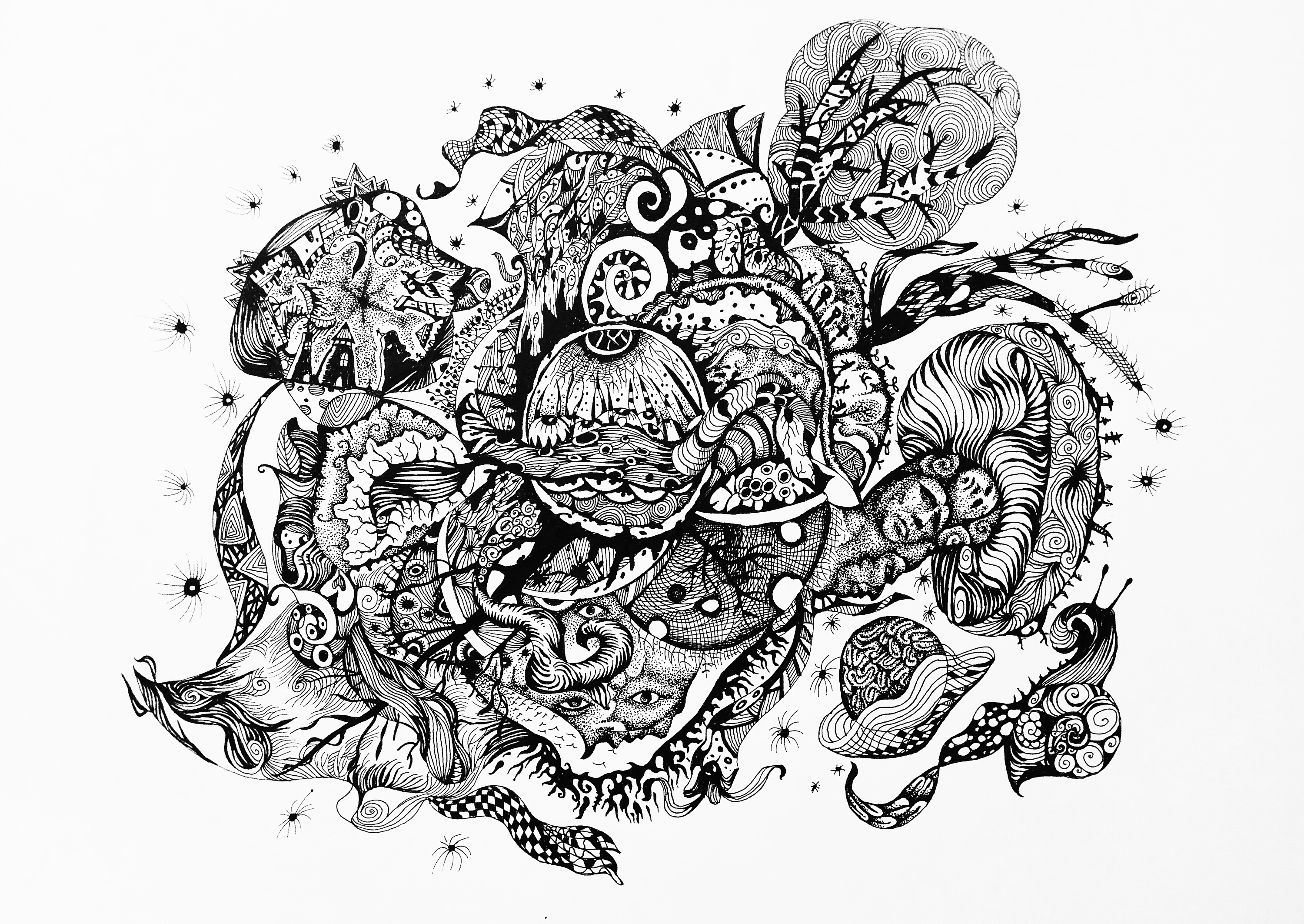 2018所有的黑白插画和儿插线稿合集