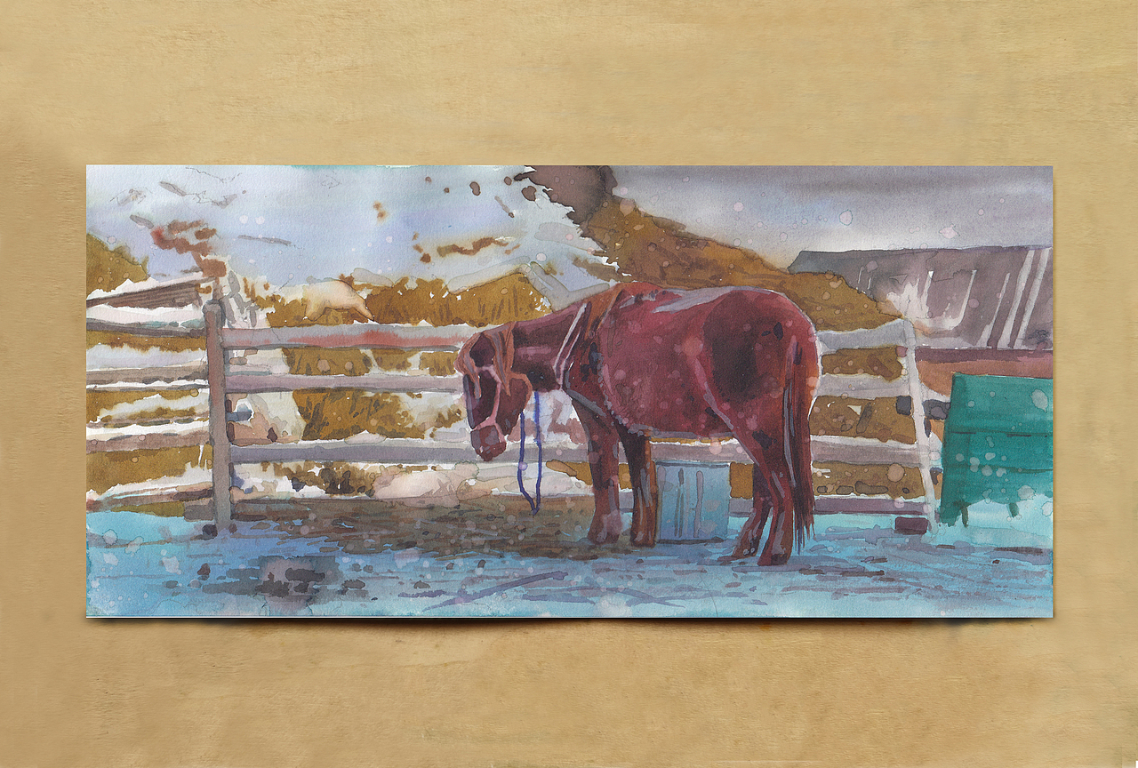 【画本系列】-我的第31本画本-日常习作