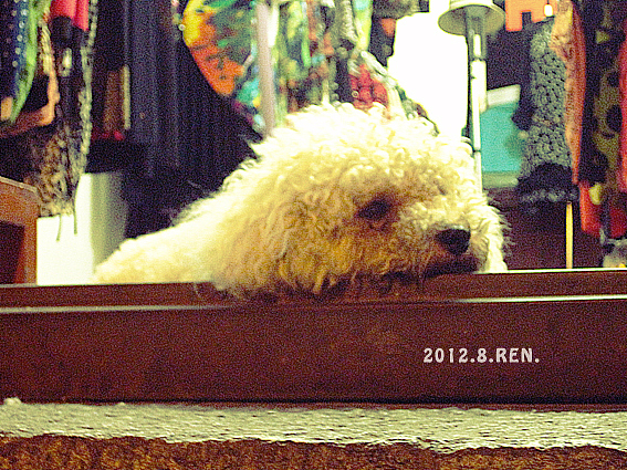 彩云之南（图ZNTQwMTQxMjQ=） - 风光摄影 - 站酷设计师無邉原创素材 - 站酷ZCOOL