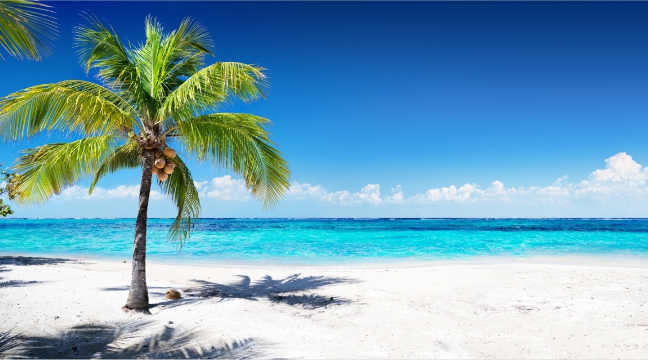 卋爻的個人主頁（封面預(yù)覽） - 主頁封面設(shè)置 - 站酷設(shè)計師卋爻原創(chuàng)素材 - 站酷ZCOOL