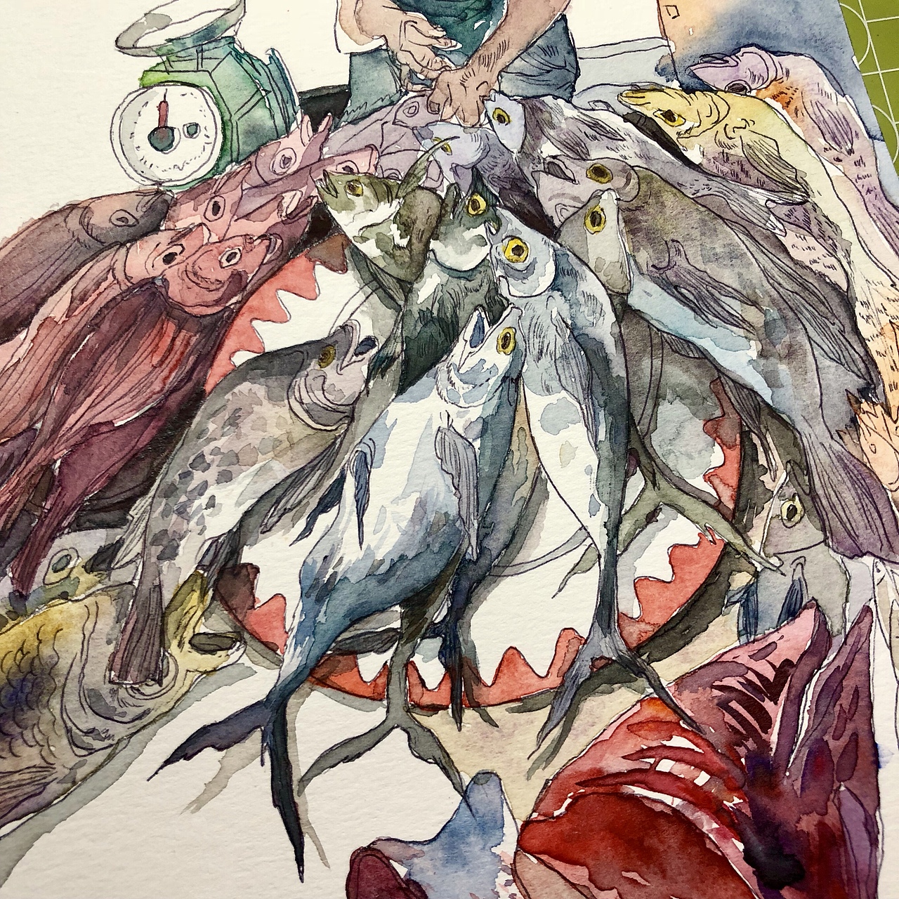 大鱼小鱼~黄眼睛的鱼🐟🐟🐟