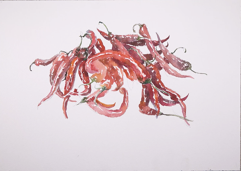 水彩红辣椒（图ZMTQwNjAzMDY4） - 绘画 - 站酷设计师萃艺博课堂原创素材 - 站酷ZCOOL