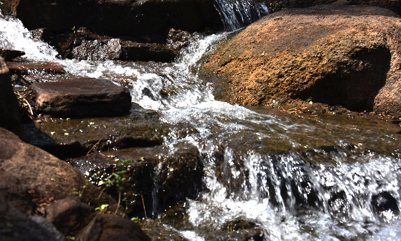 摄影记录 （ 二 ）