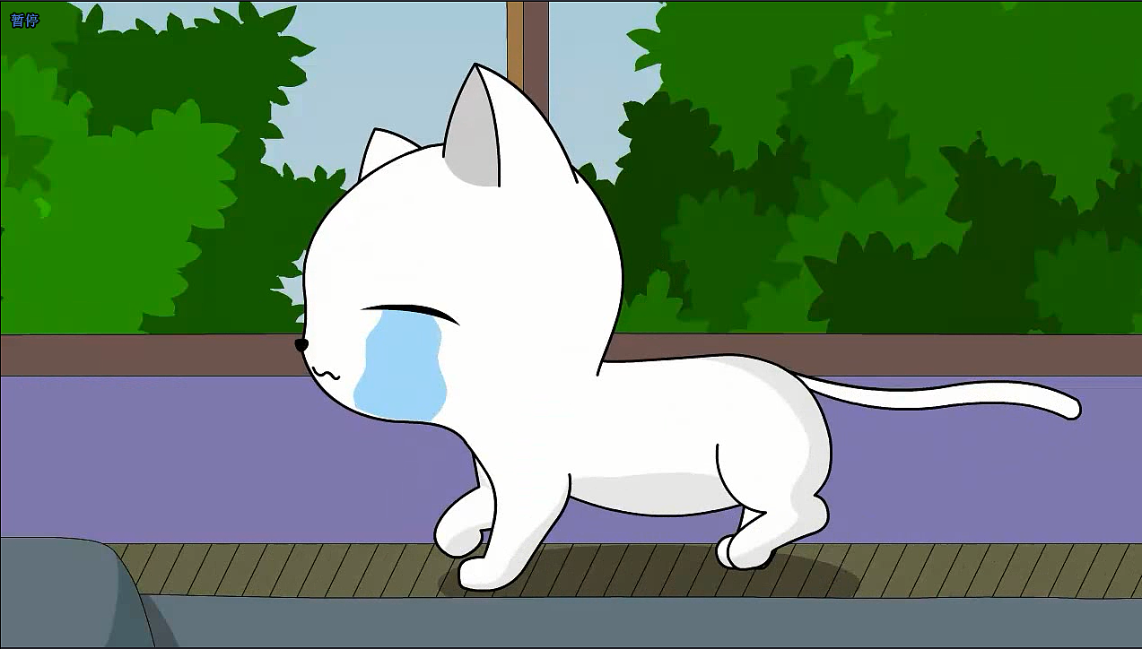 杭州玄猫 整合营销 零差评高端订制mg动画二维动画