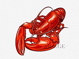 小龙虾手绘练习