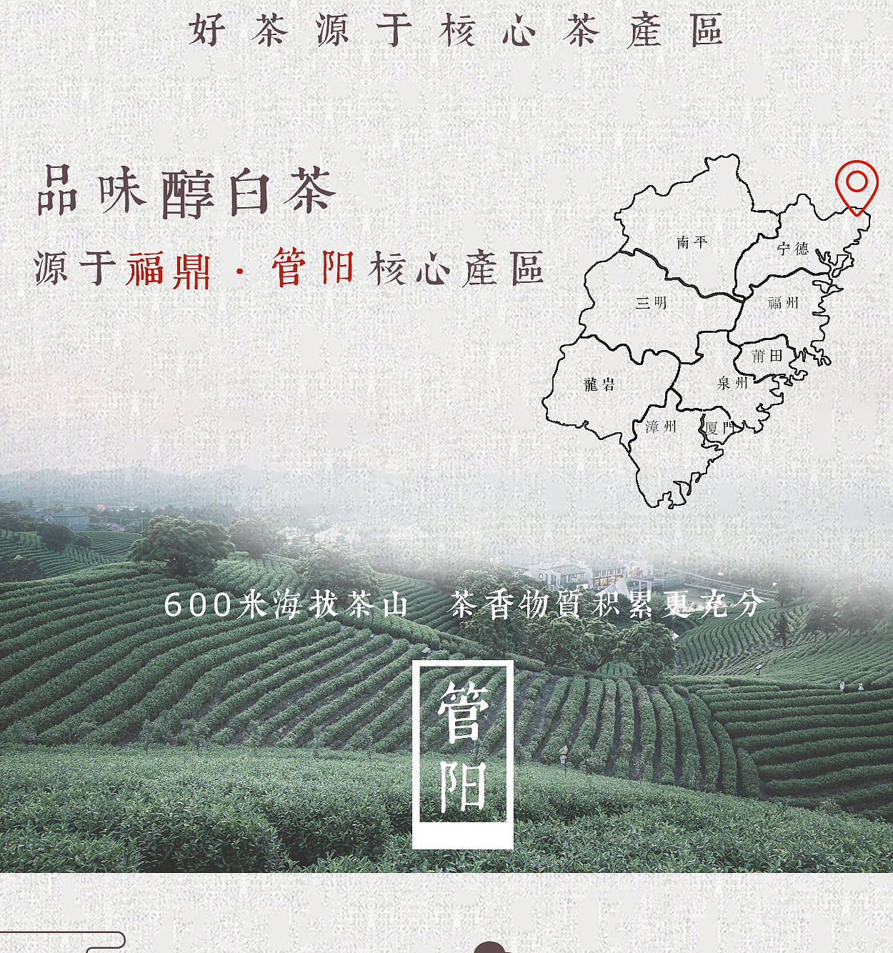 茶叶详情页（图ZMTkyNzY4ODIw） - 宣传物料 - 站酷设计师Yinnt原创素材 - 站酷ZCOOL