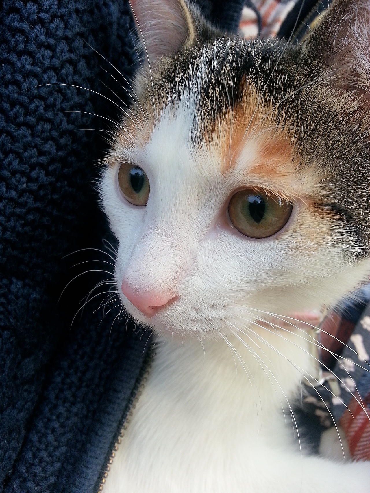 小奇的眼睛很漂亮,眼角的两条眼线特别迷人