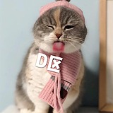 spenceryin的头像