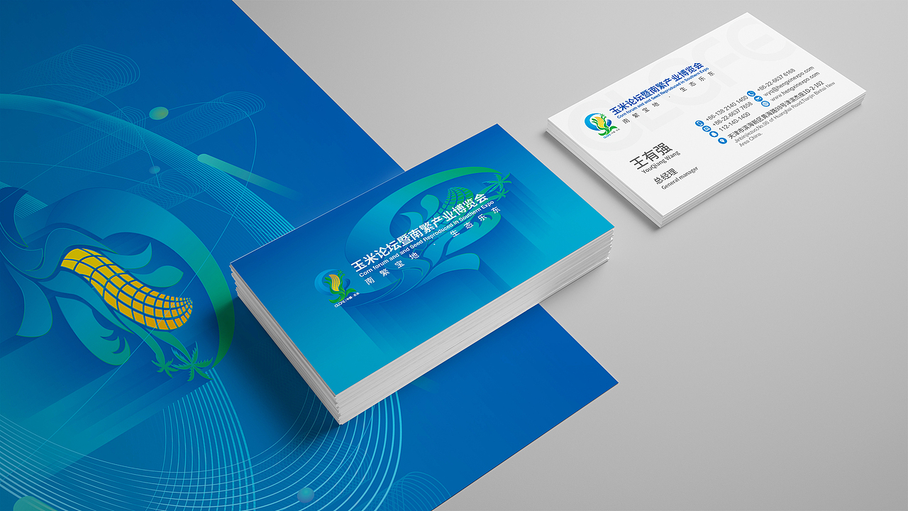 中国乐东玉米论坛暨南繁产业博览会 品牌设计方案