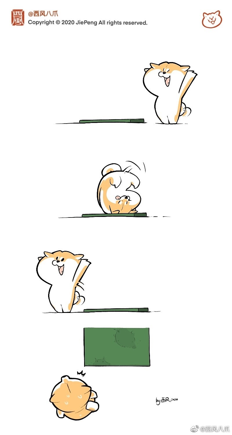 《阿柴枸杞 》运动篇