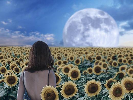 图像合成之孤单月球（一）（个人主页-ZNTQ2ODI2NzY=） - 海报 - 站酷设计师丁伟丁伟原创素材 - 站酷ZCOOL