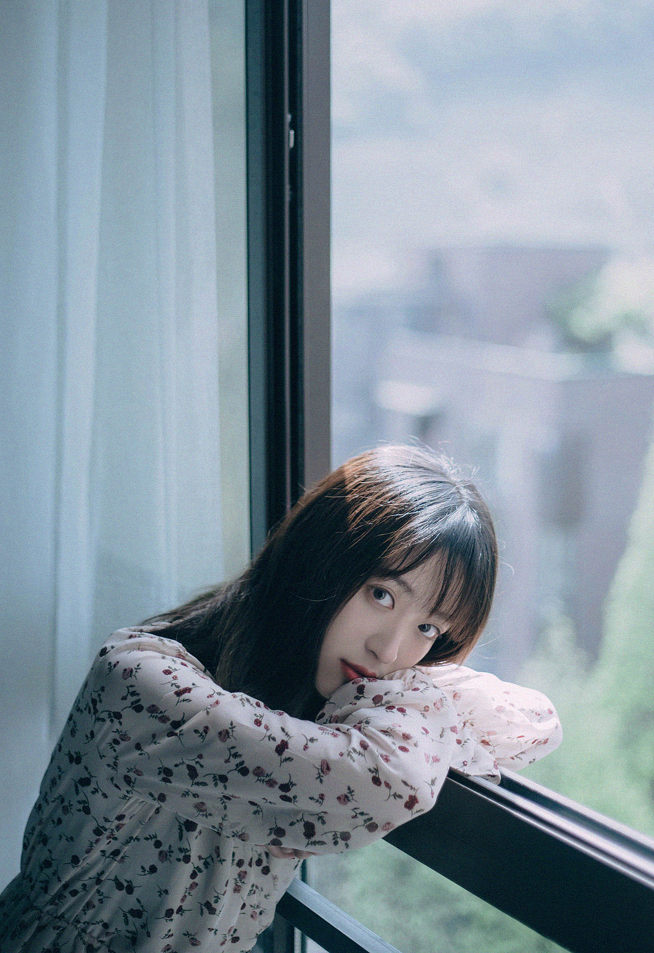 请给我一束阳光.