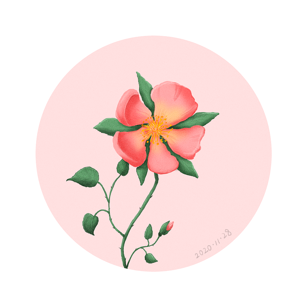 板绘-临摹-20201128