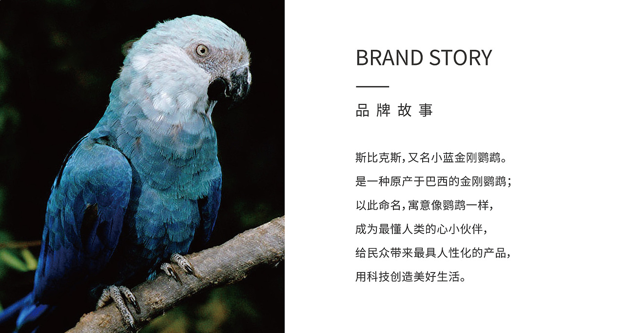 SPIXI斯比克斯——科技品牌全案设计