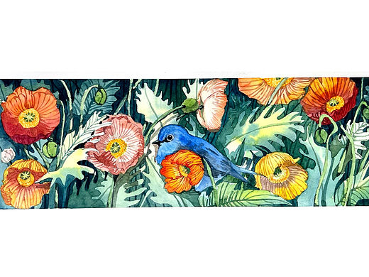 水彩 花鸟卷(就是有花有鸟)