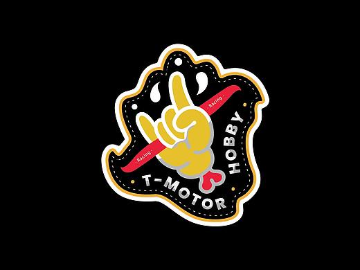 电动固定翼航模飞机贴纸设计（飞机稿）